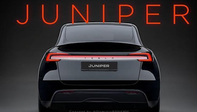 2025款特斯拉Model Y：科技与性能齐飞，800公里续航成亮点